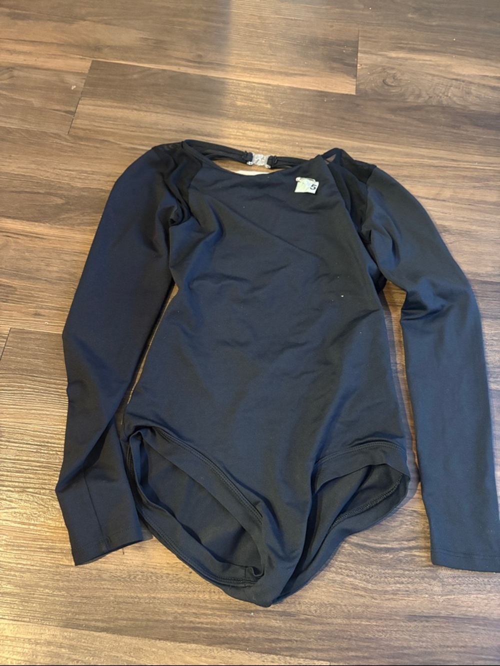 Black Mesh Long Sleeve Leotard